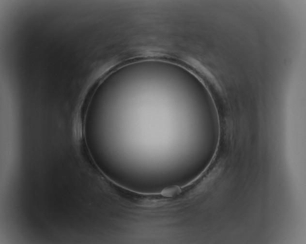 X0000100761269200806261557