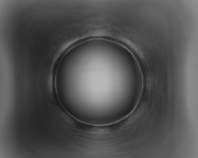 X0000100761270200806261557