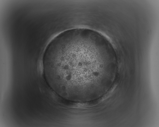 X0000100761271200806261557