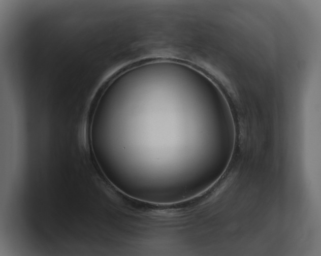 X0000100761272200806261557