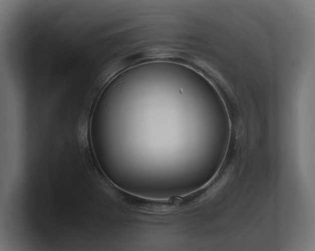 X0000100761273200806261557