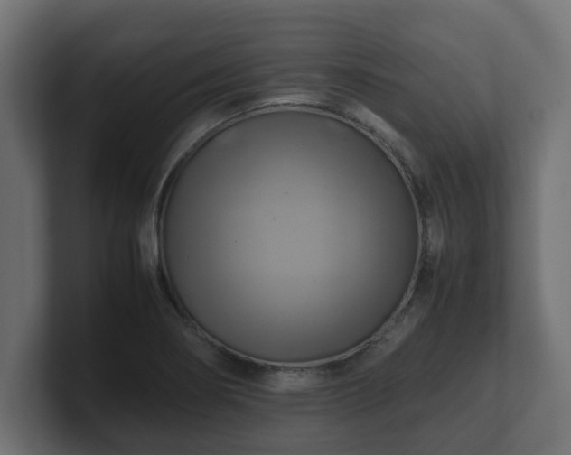 X0000100761274200806261557