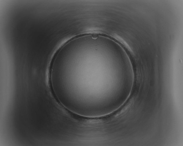 X0000100761277200806261557