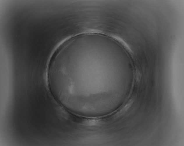 X0000100761278200806261557