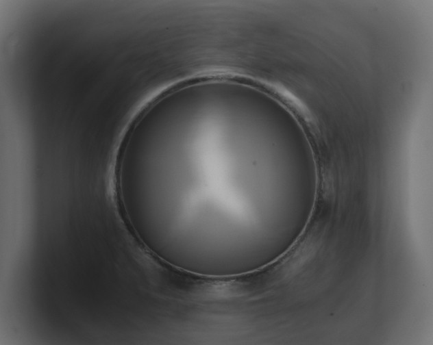 X0000100761279200806261557