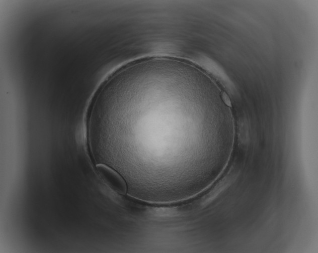 X0000100761280200806261557