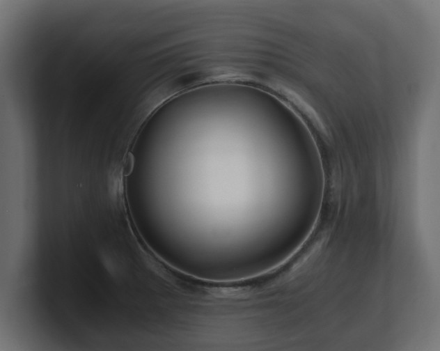 X0000100761281200806261557