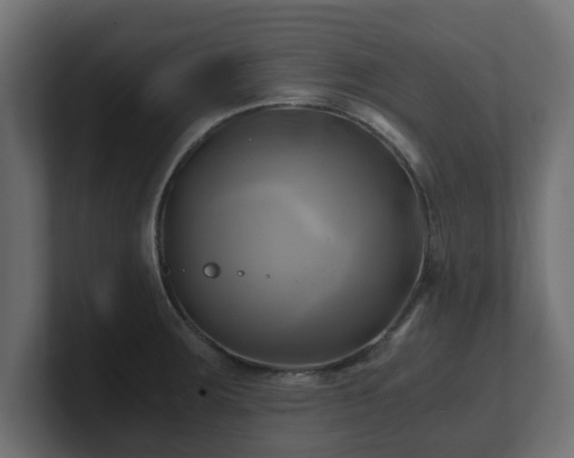 X0000100761283200806261557