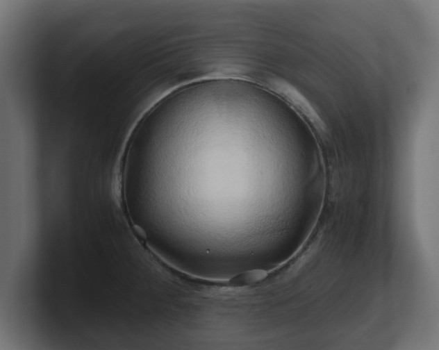 X0000100761284200806261557