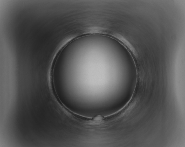 X0000100761285200806261557