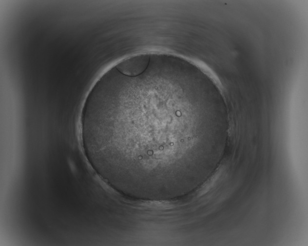 X0000100761287200806261557