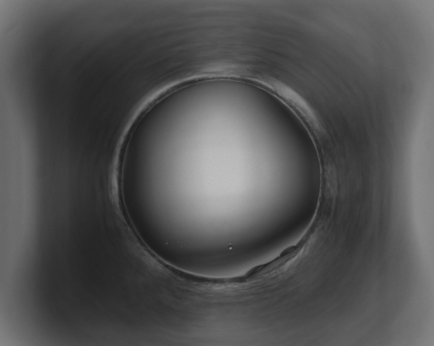 X0000100761288200806261557