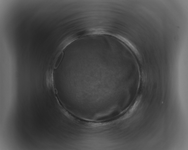 X0000100761289200806261557