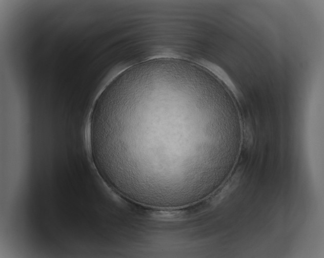 X0000100761290200806261557