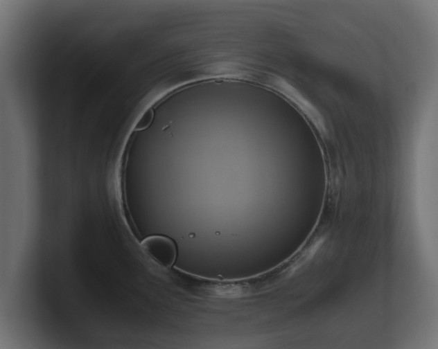 X0000100761291200806261557