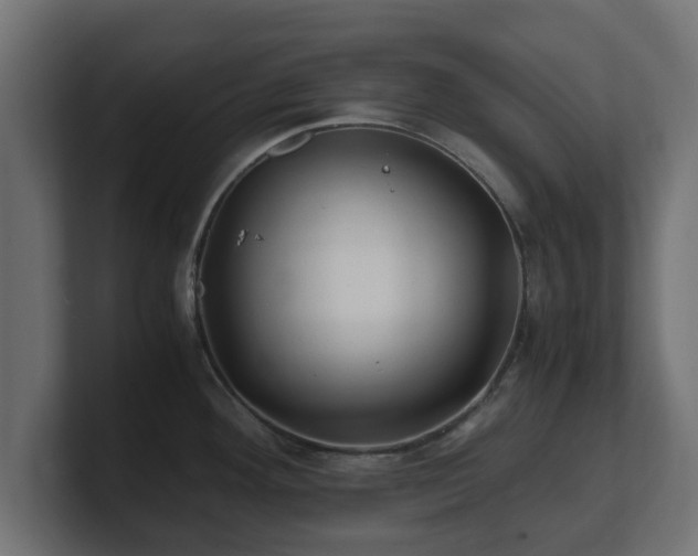 X0000100761292200806261557