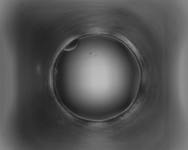 X0000100761293200806261557