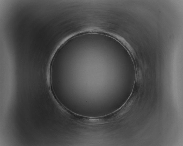 X0000100761295200806261557