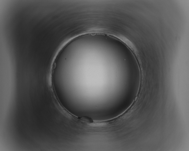 X0000100761296200806261557