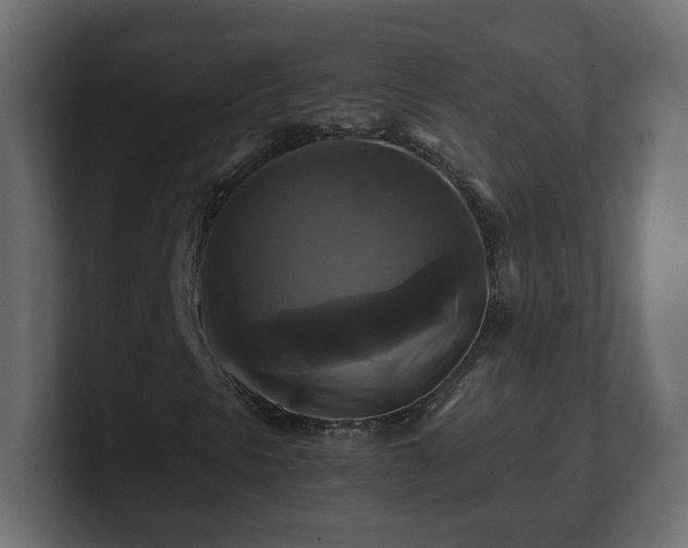 X0000100761297200806261556