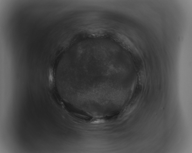 X0000100761298200806261556