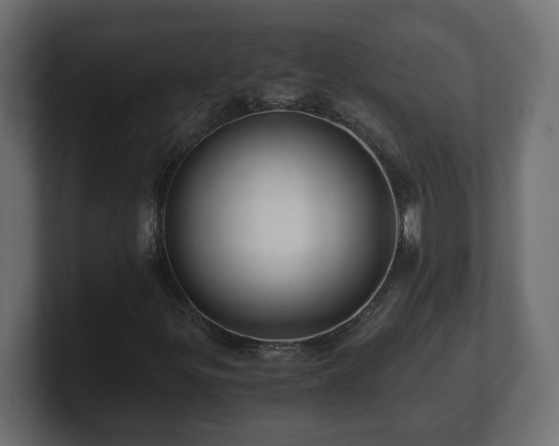 X0000100761299200806261556