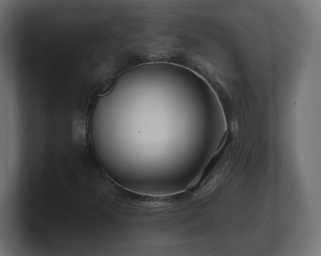 X0000100761300200806261556