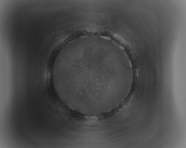 X0000100761302200806261556