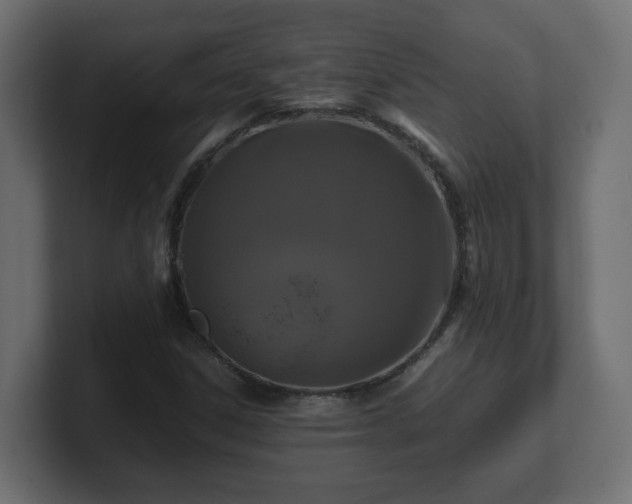 X0000100761306200806261556