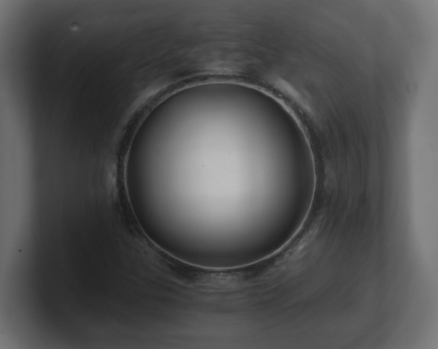 X0000100761307200806261556