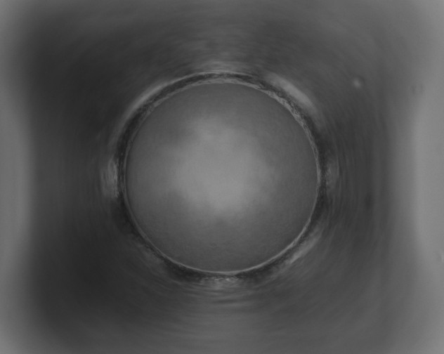 X0000100761310200806261556