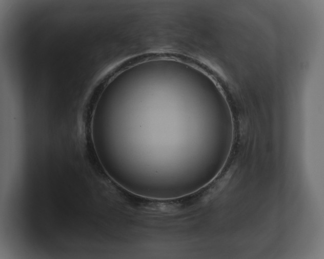 X0000100761311200806261556