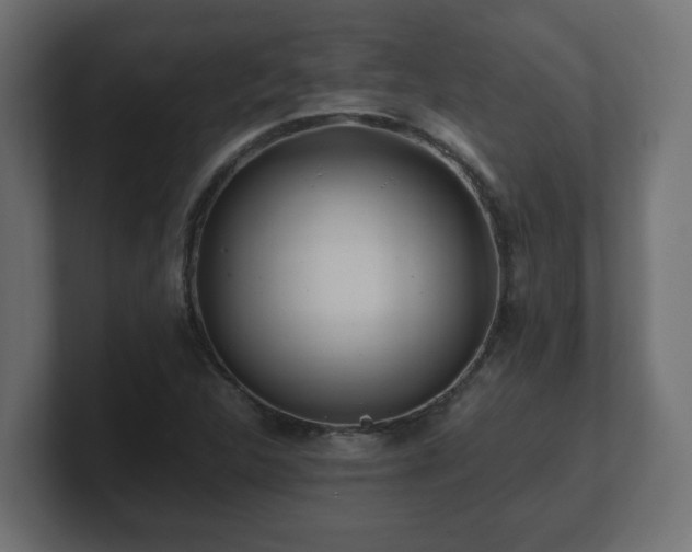 X0000100761312200806261556