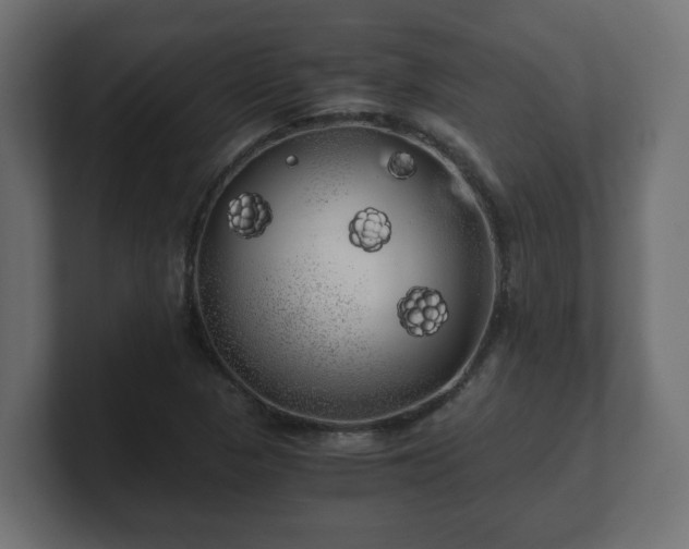 X0000100761313200806261556