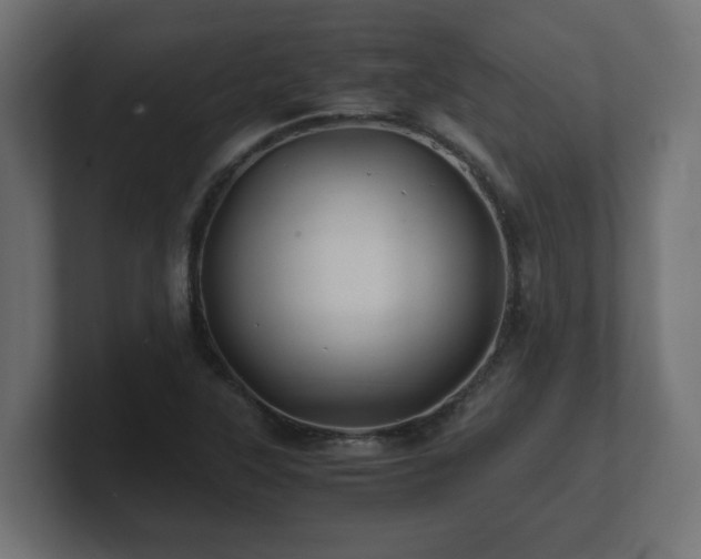 X0000100761315200806261556