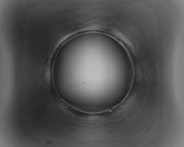 X0000100761316200806261556