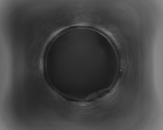 X0000100761319200806261556