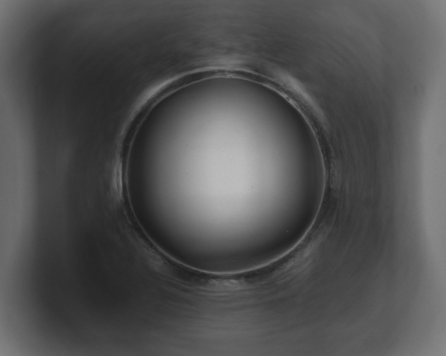 X0000100761320200806261556