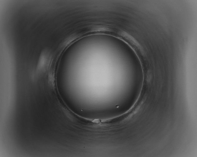 X0000100761321200806261556