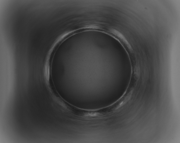 X0000100761323200806261556