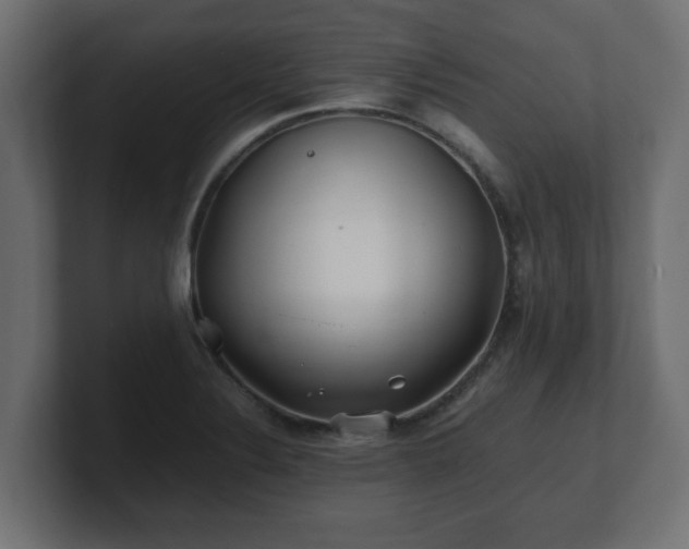 X0000100761324200806261556