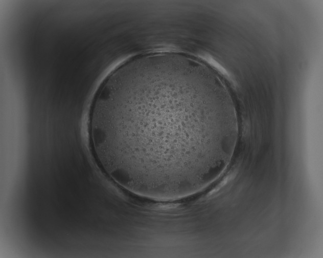 X0000100761325200806261556