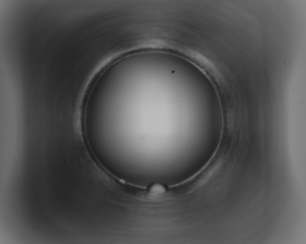 X0000100761326200806261556