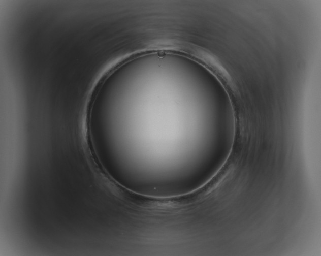 X0000100761328200806261556