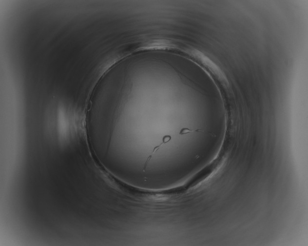 X0000100761329200806261556