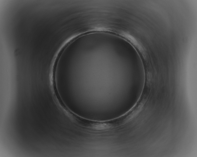 X0000100761331200806261556