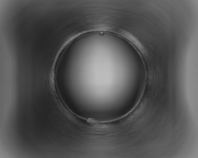 X0000100761332200806261556