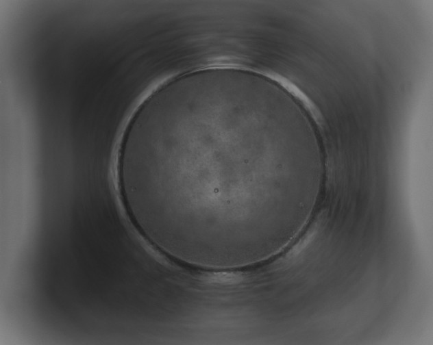 X0000100761333200806261556