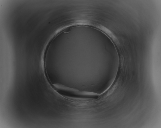 X0000100761334200806261556