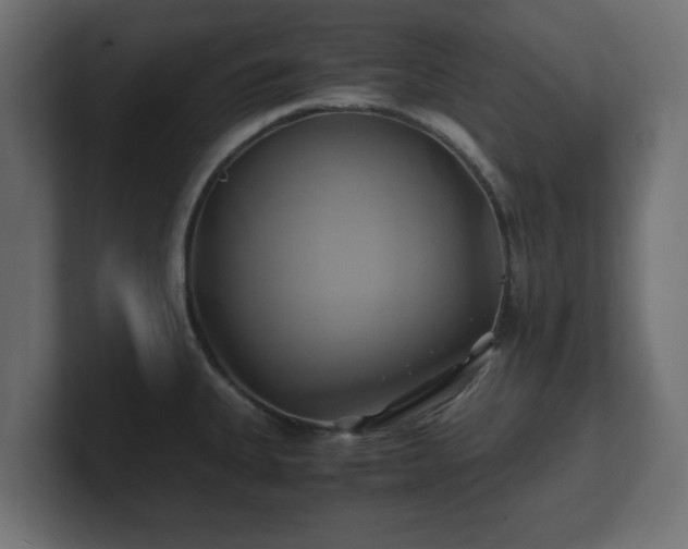 X0000100761335200806261556